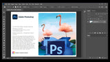 Photoshop cc 2020